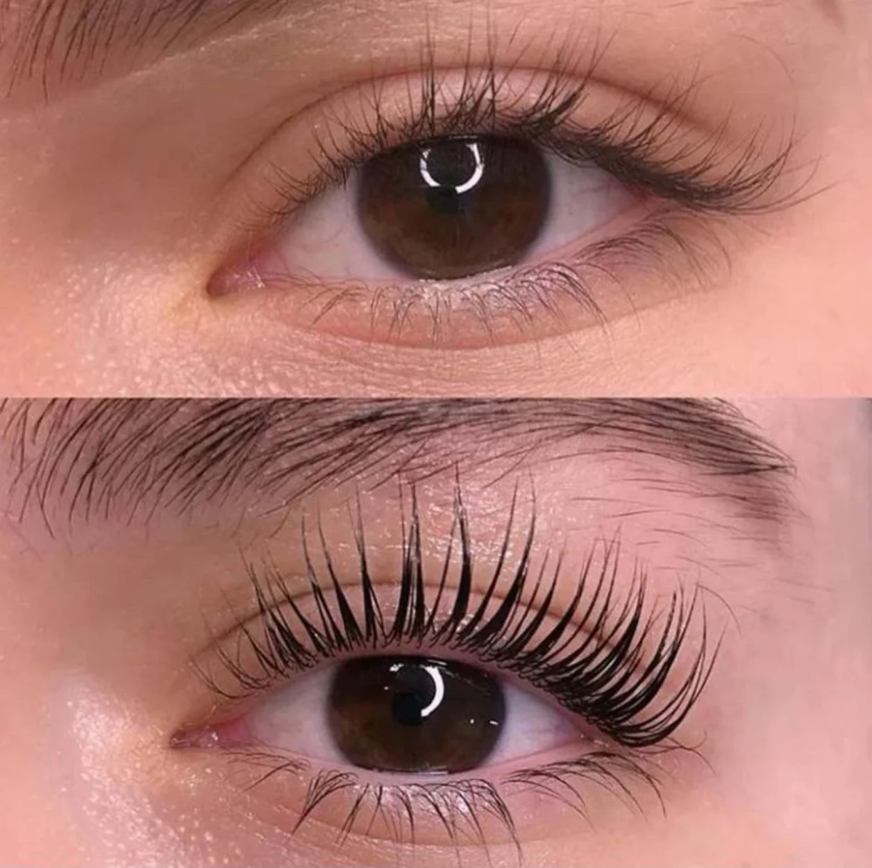 image-rehaussement-cils